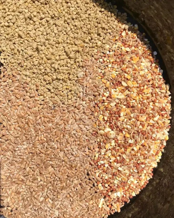 Sustainable Agriculture